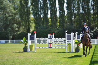 开云-泰国羽毛球队横扫马来西亚羽毛球队，谌龙高光表现