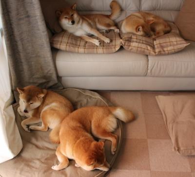 开云-切特·霍姆格伦，东决夜重塑历史的巨人觉醒，数据爆炸背后的无声宣言