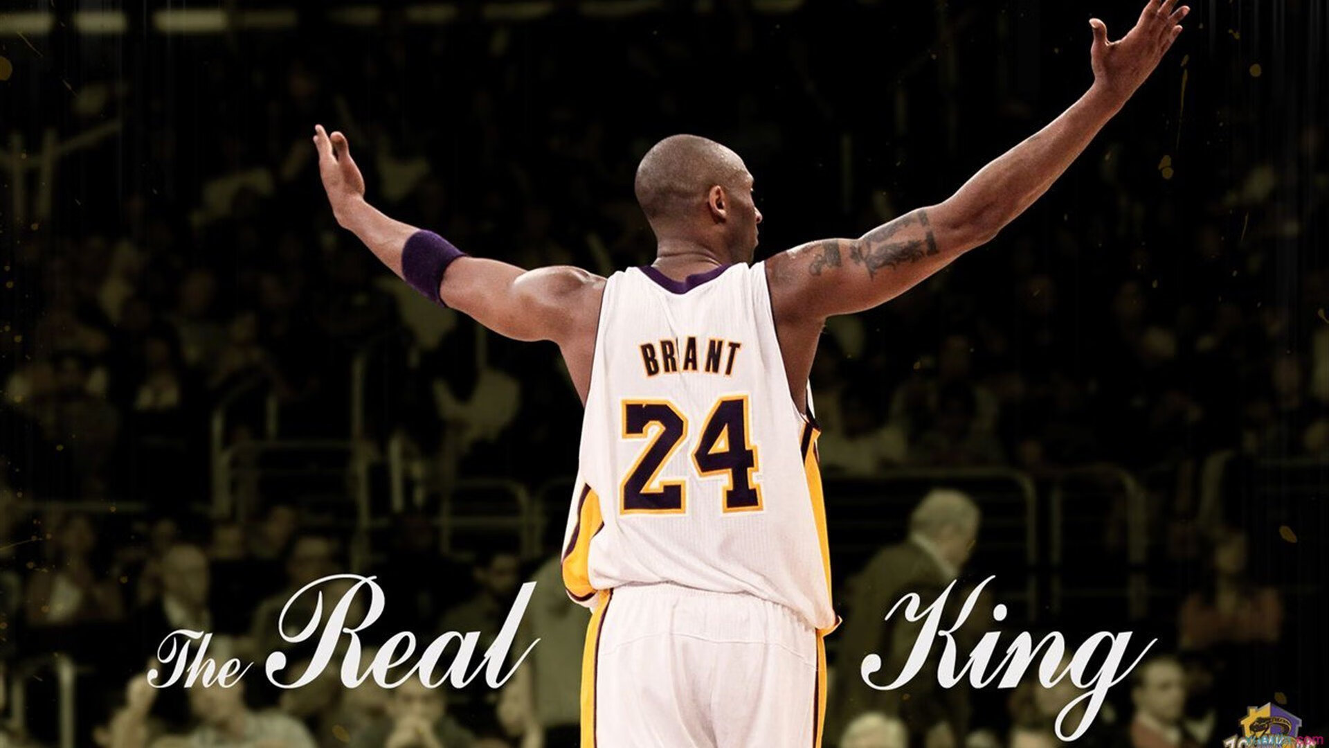 木偶师的丝线,当恩佐的手指轻轻拨动,一场压制的华丽独裁悄然上演